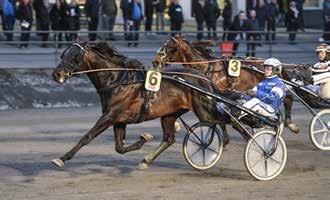 UMÅKERS TREÅRINGSELIT Tidigare vinnare Häst Ägare Kusk Tid Odds 2007 Dandie Palema Big Slick Racing AB, Umeå Patrik Nygren 16,2 8,65 2008 Doyouwanttodance Stall Lag Hanna Olofsson 16,4 3,13 2009 You