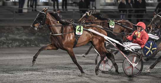 15,1 14,66 2012 Quid Pro Quo Stall Gladiator Ulf Ohlsson 16,7 1.70 2013 Zombi Kemp Sutelan Ta