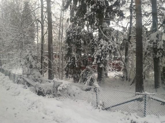 5 Naturvärden Fastigheten är delvis bevuxen med gran, tall och lövträd. Naturvärdena är inte utredda. Vegetation på fastigheten, vintertid. Markägarförhållanden: Fastigheten är privatägd.