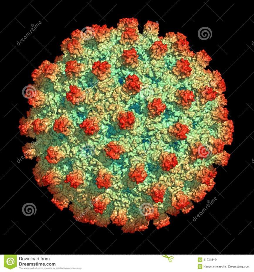 Virologi 8 genotyper (A-H). Geografisk uppdelning.