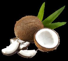 Cocco Kokosglass i eget