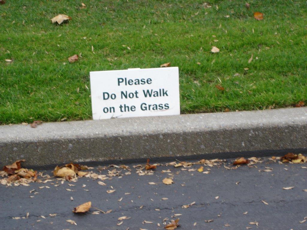Får jag då springa över gräsmattan?