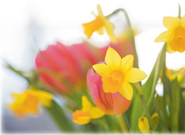 och Olof Tholander. Kyrknytt kommer ut med 4 nr/år till samtliga hushåll i Kropps församling. Upplaga: 5 700 exemplar. Tryck: Mediapool Print. Nästa nummer av Kyrknytt kommer ut vecka 22 i maj 2019.