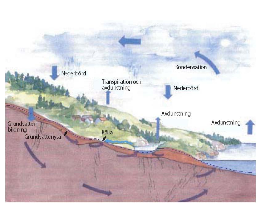 Bakgrund till mötet (SGU) har genom Peet Tüll engagerad i Östra Gotlands vattenråd, fått förfrågan att delta vid ett