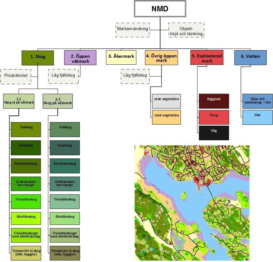 1 Inledning 1.1 Bakgrund Nationella marktäckedata (NMD) är en heltäckande kartering av Sverige. Syftet är att få grundläggande information om landskapet och hur det förändras.