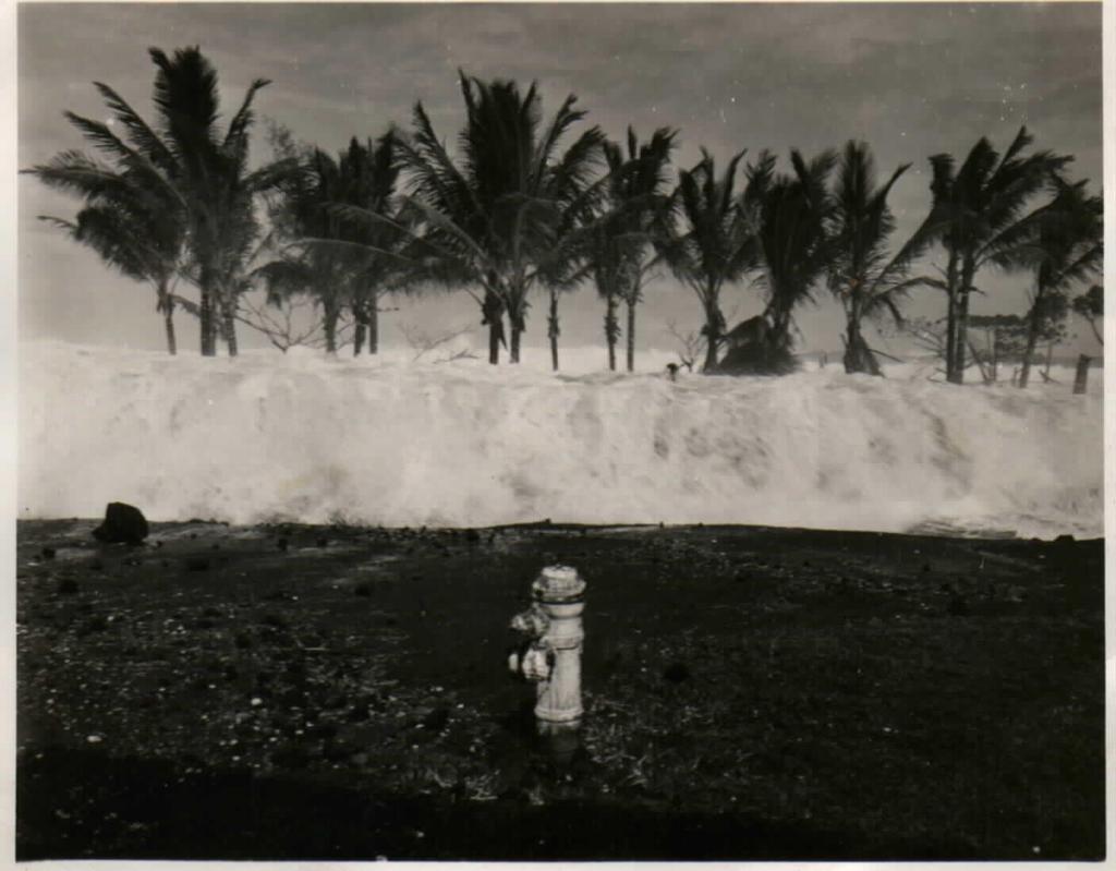 Hawaii, 1 april 1946 7