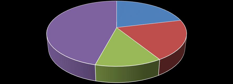 per åldersgrupp 41- år; 78; 46% 13-20 år; 34; 20% 6-12 år; 36; 21% 21-40 år; 22;