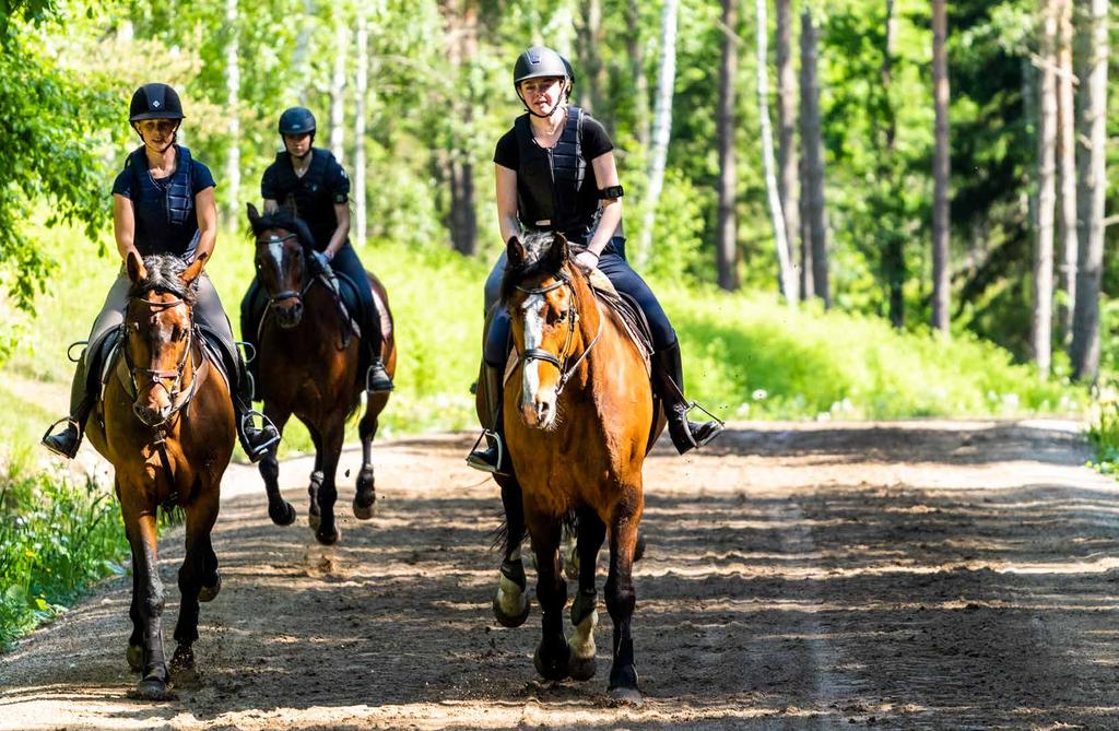 HÄSTSKÖTARE RIDNING Lev hästliv på riktigt med ridning och körning på schemat!