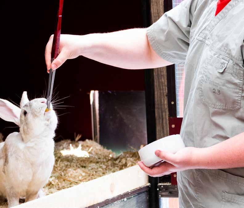 Du som väljer att fördjupa dig inom lantbruk får både lära dig att köra traktor med alla de redskap som används inom lantbruket, men även att ta hand om kor, får och grisar.