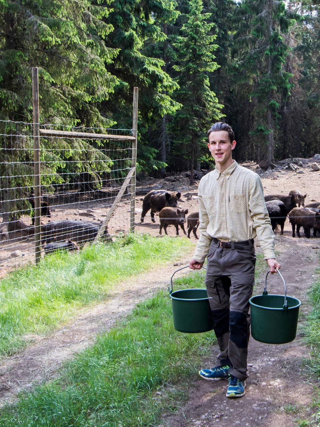 Du läser Naturbruksprogrammet med inriktningen SKOG och kan senare