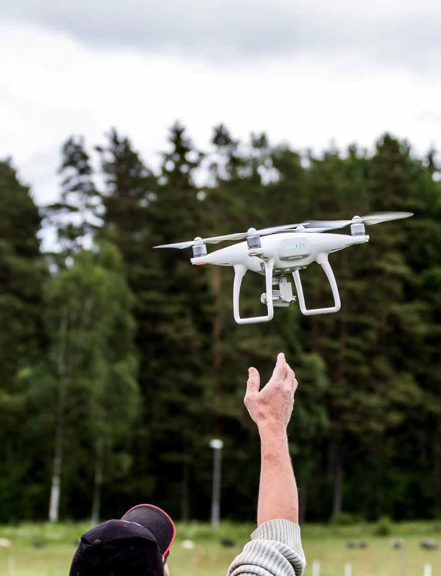 LANTBRUKSDJUR Trivs du bäst nära djur och natur?