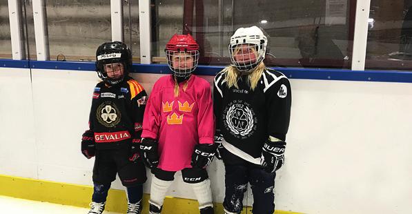 Nu kan ditt företag bli Brynäs Dam+ partner och stödja klubbens flickoch damverksamhet. Var med och gör skillnad för flick- & damhockeyn via specifika insatser. Sponsor.
