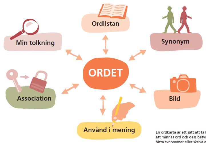 Engelska och språkämnen Engelska är ett icke-transparent språk (thorough, tough, which-witch, /a-i-e/) Dyslexi språkljudssvaghet => systematisk lästräning (ex helpstart, bravkod eng) Muntlighet bygg