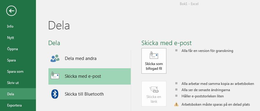 I Excel: Välj Arkiv -> Dela -> Skicka med e-post-> Skicka som bifogad