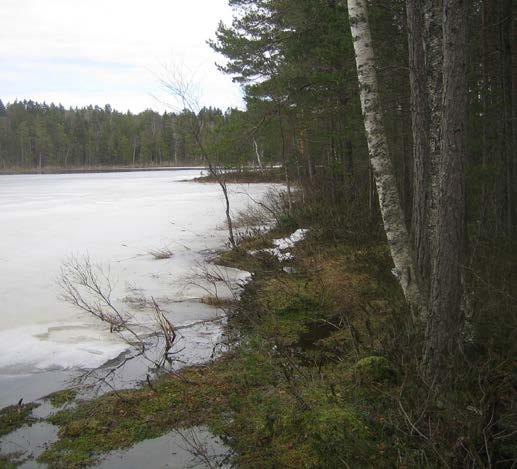 PLANFÖRSLAGET plankartan anses vara planenliga. Om en sådan byggnad helt eller delvis förstörts genom våda får en ny byggnad återuppföras om inte byggnadens volym eller våningstal ökas.
