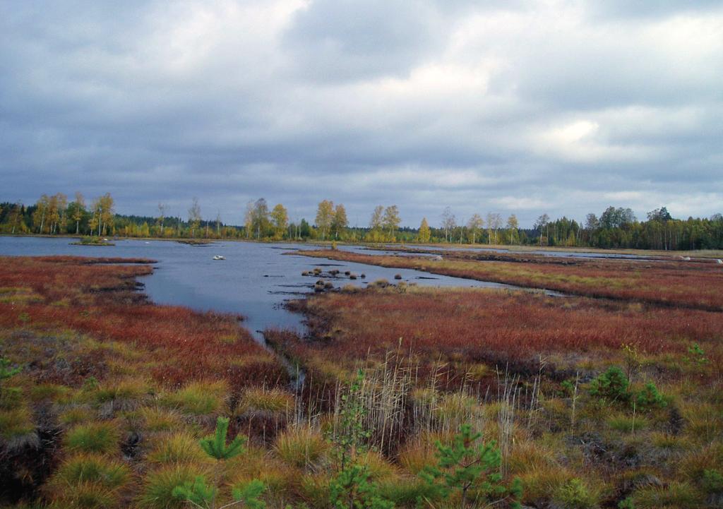 Projektrapport nr 18 Effekter vid restaurering av avslutade torvtäkter genom återvätning; undersökningar vid Porla,