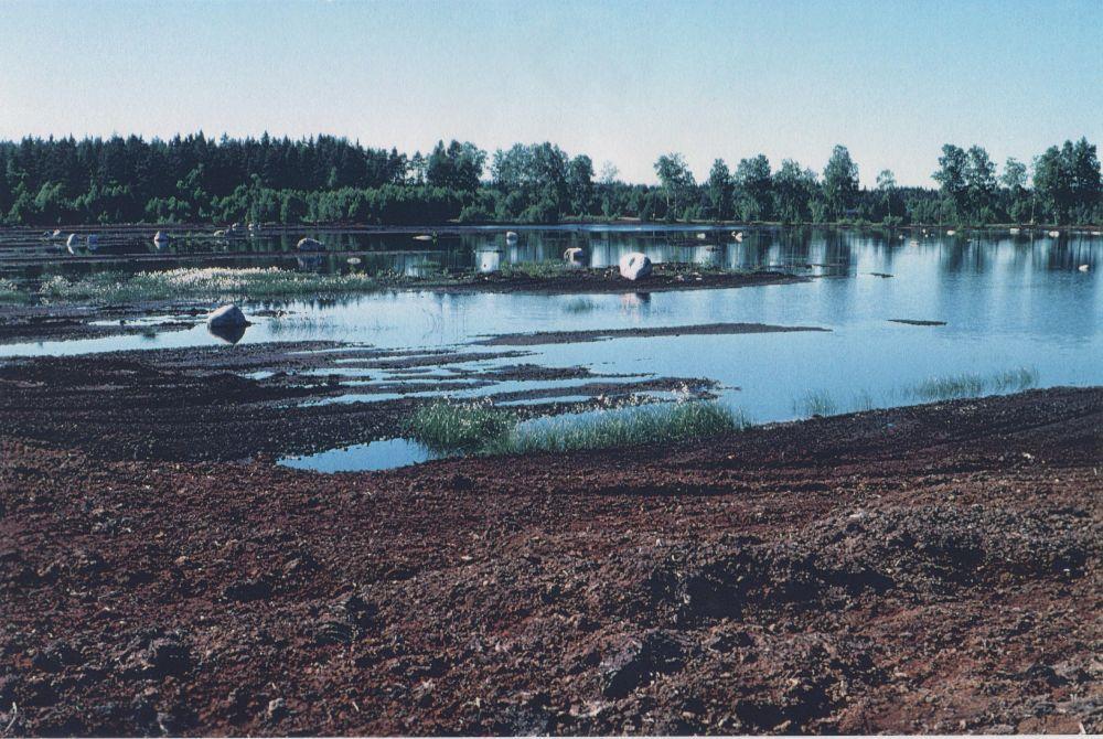 Orsaker till avsänkta vattennivåer i Porla B var delvis naturliga med minskat inflöde av vatten och ökad avdunstning sommartid men den snabba och omfattande minskningen i vattenmagasin 2001 kan inte