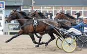 delad,gula stj; röd Karl Stolt Å /- /0, c c 0, 0' Karl Stolt a LIMUS LAISS 0:,0 M, AM Total: 0-0-.00 Kr,ljr.s.e clyn - : 0-0-,0.00 : 0-0-,.
