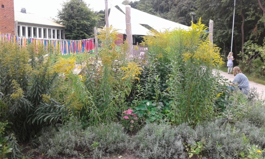 Målarstugans förskola i Lund Gröna skolgårdar projekt En plats med biologisk mångfald Förskolan Målarstugan ligger i västra Lund och är för tillfället omlokaliserad till paviljonger.