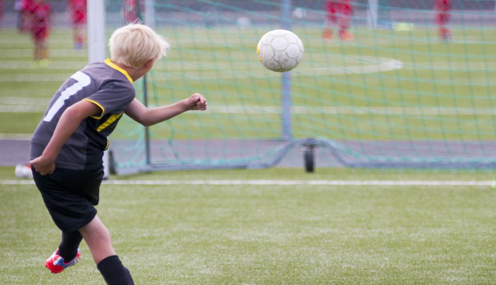 Omvärldsspaning Med sina många utövare och ledare är föreningsidrotten landets största folkrörelse men den står inför stora utmaningar att engagera frivilliga krafter.