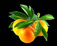 ANTAL 8 BLANDAS 1+4 APELSIN JUICE ARTIKELNR 1006185 EAN KOD BAS