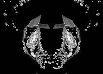 MELLAN 9002515599810 GLASFLAS ACE