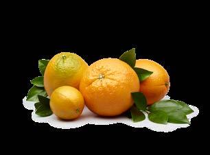 NYHET! EKOLOGISK CITRUS ARTIKELNR 69473 EAN KOD BAS 5705001150109 Enkelt att välja ekologiskt NYHET!