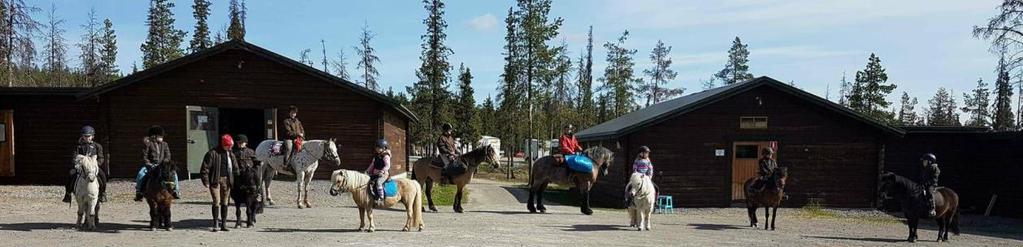 Kort om Iskalla Ryttares Förening - Jukkasjärvi Iskalla Ryttare är en förening som främst håller till på stallet Stall Snöflingan i Jukkasjärvi.