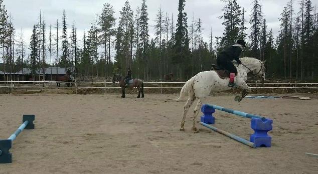 Vi anordnar regelbundet träningar, klubbtävlingar och andra event.