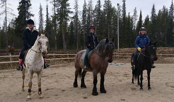 Till skillnad från många andra ridskolor så rider vi alltid utomhus, ofta i skog och mark. Vi har fått lära oss att anpassa oss efter naturen som har mycket spännande att erbjuda.