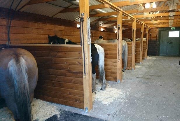 Bidraget från kommunen gjorde det även möjligt för oss att äntligen kunna köpa in och montera en