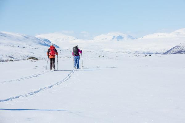 INFORMATIONSBLAD Vinter 2020 Saltoluokta Kvikkjokk, turskidor på egen hand Kungsleden mellan STFs fjällstationer i Saltoluokta och Kvikkjokk är drygt sju mil lång.