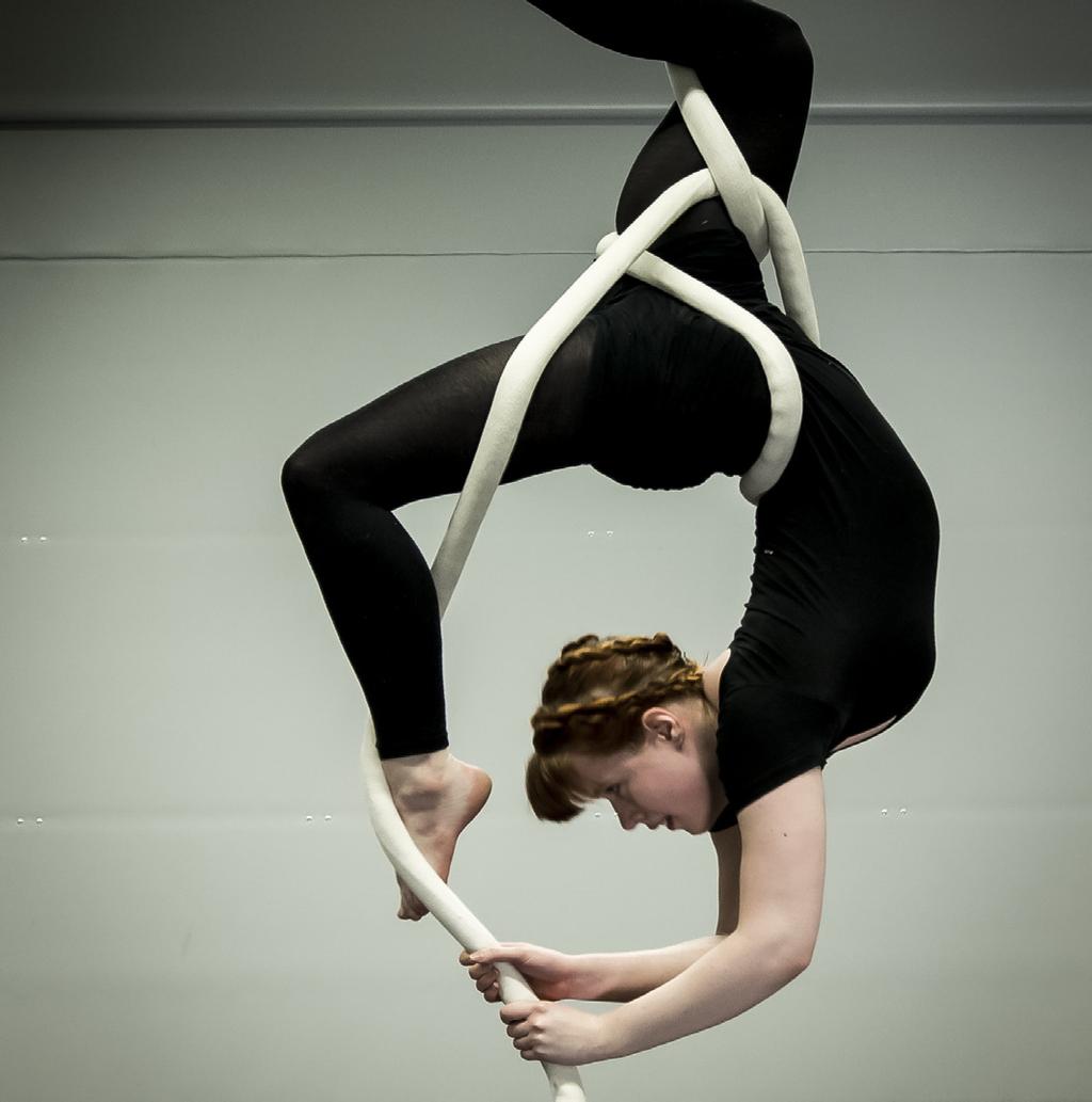 ES NYCIRKUS HÖGSKOLE- FÖRBEREDANDE RIKSINTAG UNIKT SAMARBETE MED CIRKUS CIRKÖR ESTETISKA PROGRAMMET: NYCIRKUS Det Estetiska programmet är kreativt och konstnärligt.