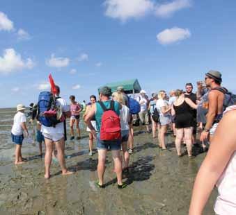 Vereinsleben Sommer, Sonne, Watt Neuwerk 2018 Was kann schöner sein als ein Gang durchs Watt bei idealem Sommerwetter mit netten Leuten? So geschehen am 04.08.2018. 40 begeisterte Wattläufer waren wie jedes Jahr unterwegs, um zu gucken, zu klönen und sich zu erholen.