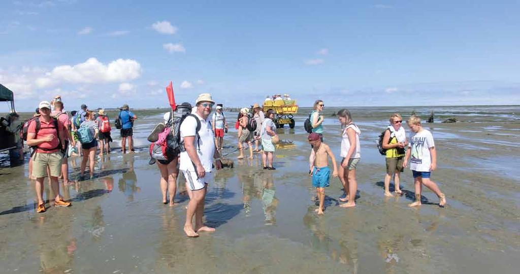 Der Möglichkeiten gibt es viele, sich auf der Insel umzutun: Museumsbesuch, Insel umrunden, Turm besteigen, Löcher gucken, Seele baumeln lassen.