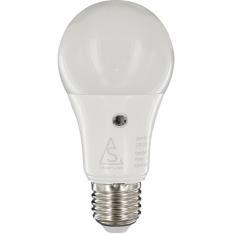 8 - juskällor ED - Speciallampor Sensorlampa ED-lampa med sensorfunktion
