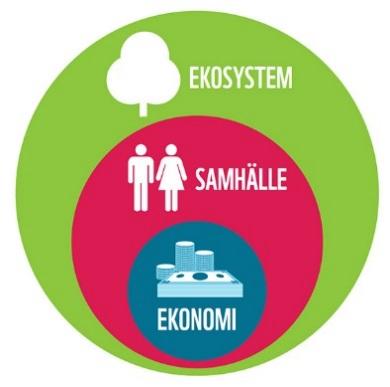 6 ( 6 ) Plan för Värnamo kommuns miljöarbete Hållbar utveckling Begreppet hållbar utveckling fick internationell spridning i samband med FNrapporten Vår gemensamma framtid och definieras av tre