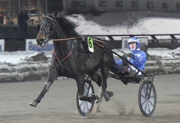 MÅNADEN ÄT Gävletravet februari 09 OKAI CERI Vi gratulerar med segertäcke och hederspris Valack 6 år e. Lucky Chucky Zabayonne Crown e.