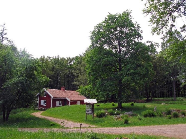 kunna växa med omkring 6 000 invånare och det kommer då att behövas fler bostäder, arbetsplatser och mer service.