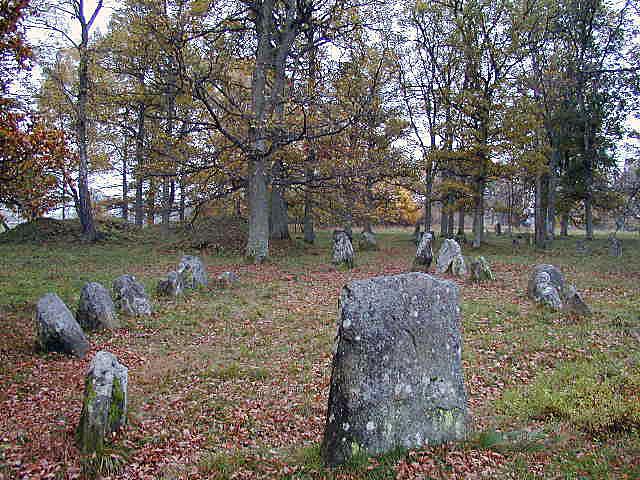 2. Bakgrund 21 2.1 Kulturmiljön som definition I landskap och miljöer runt oss finns spåren av människor som har levt och verkat före oss.