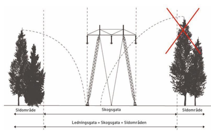 13 5. VERKSAMHETSBESKRIVNING 5.1 Elförbindelsens tekniska utförande 5.1.1 Stolptyper Den befintliga 220 kv-dubbelledningen är uppförd i stålstolpar. Fasavståndet, d.v.s. avståndet mellan linorna i stolparna, varierar med 5-6 meter.