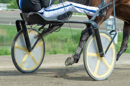 e Kadara - : -0-,a 00 : --,a 000 Tot: 9-- Olige Ås e Scarlet Knight Niklasson M Aa / - 00 0,0 a - - 0 - Uppf: Lortzon Ann-hristin & Magnusson J-E Niklasson M Mp / - / 0,9 a x x Äg: Stall MALIN - Stud