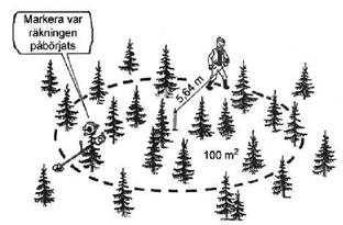 Det kan man enkelt göra genom att räkna kvarvarande stammar i en cirkelyta med hjälp av ett snöre som är 5,64 m långt.