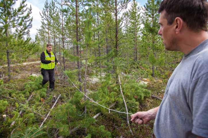 Det får du genom att binda ett 5,64 m långt snöre på en stam som utgör mitten av provytan. Hela ytan av cirkeln blir då 100 m 2, d.v.s. en hundradels hektar. Räkna antalet stammar.