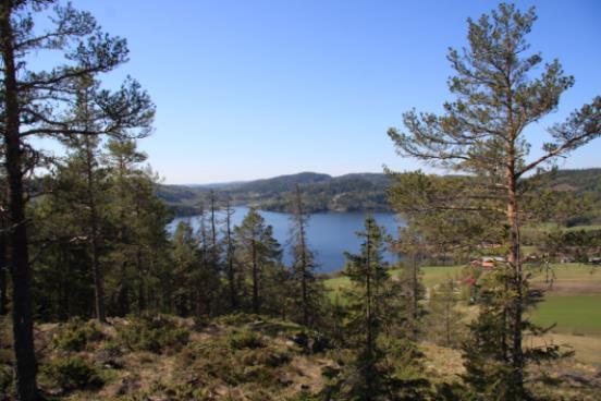 Höga Kustenleden och Skuleskogen, 5 nätter 4(7) Slåttdalsberget norr om skrevan där du har magnifik utsikt till picknicken.