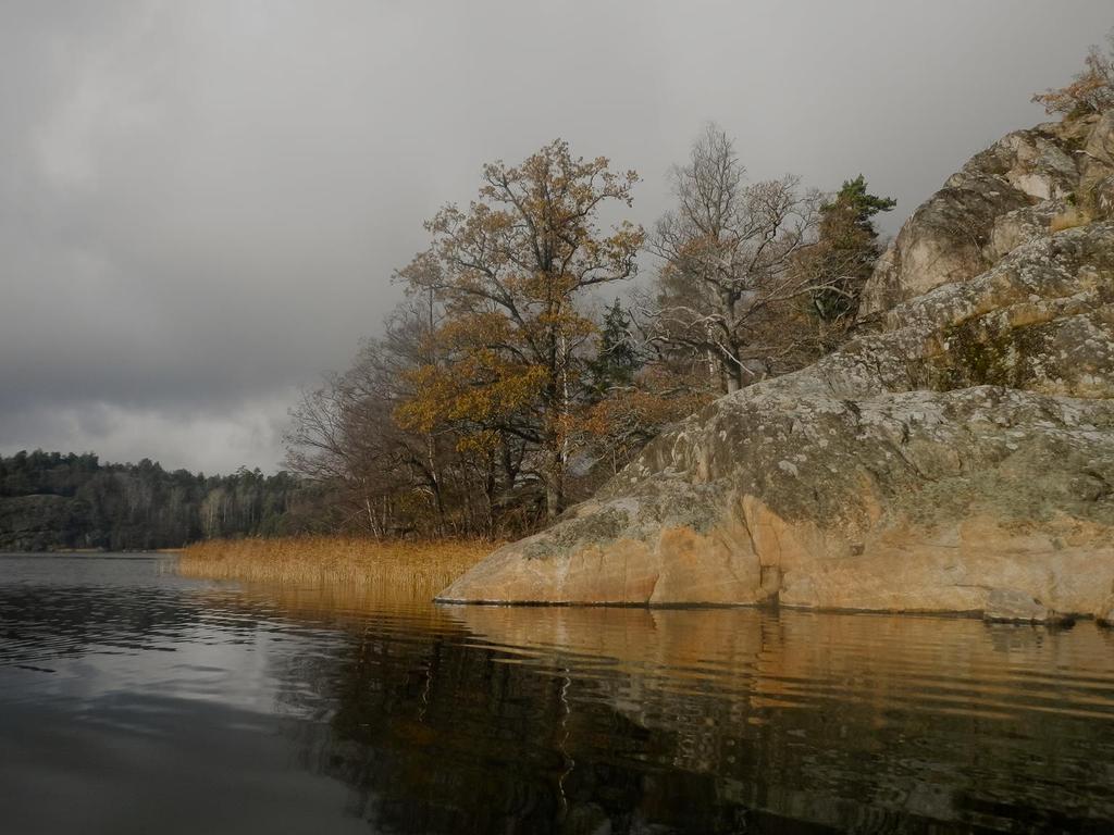 Kristallin berggrund; granit och gnejs (Denmark) Akviferer i sedimentära avlagringar Höga grundvattennivåer Kalla vintrar varma somrar