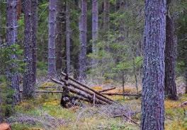 Vår fältpersonal har rätt att teckna kontrakt upp till en låg nivå, över denna nivå krävs chefer och på större kontrakt krävs VD:s godkännande.