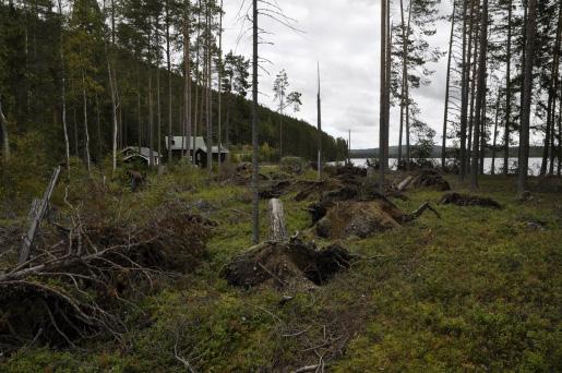 Mesolitisk boplats vid Idsjön.