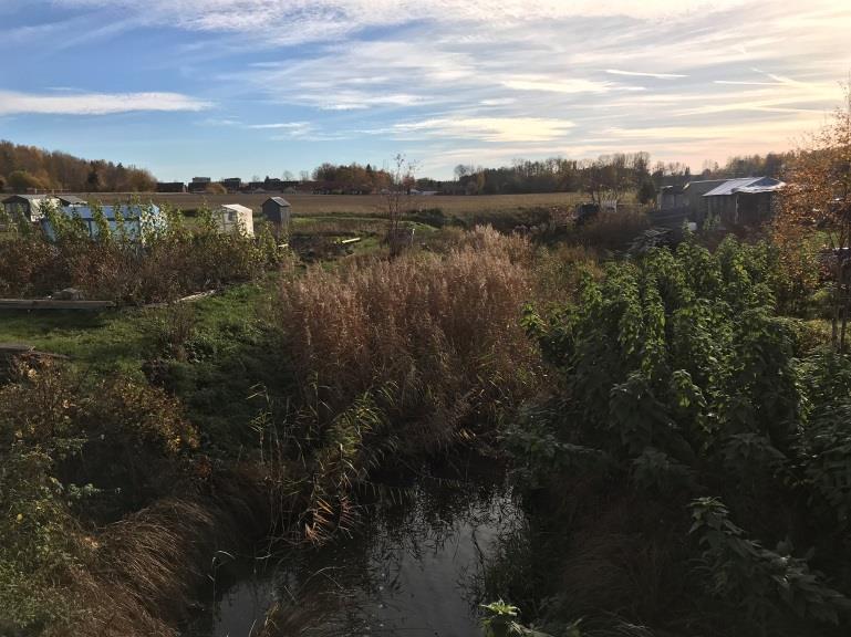 Naturskydd Enligt 3 kap. 2-5 miljöbalken ska stora opåverkade områden, ekologiskt känsliga områden, åker och skog av nationell betydelse samt fiskevatten skyddas mot påtaglig skada.