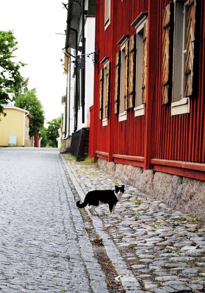 Avsikten med Cittaslow är också att öka invånarantalet. Bordet är dukat. Välkommen! I Cittaslow gäller gräsrotsperspektivet. Kristinestads guld. 54 Hallå Tennar!